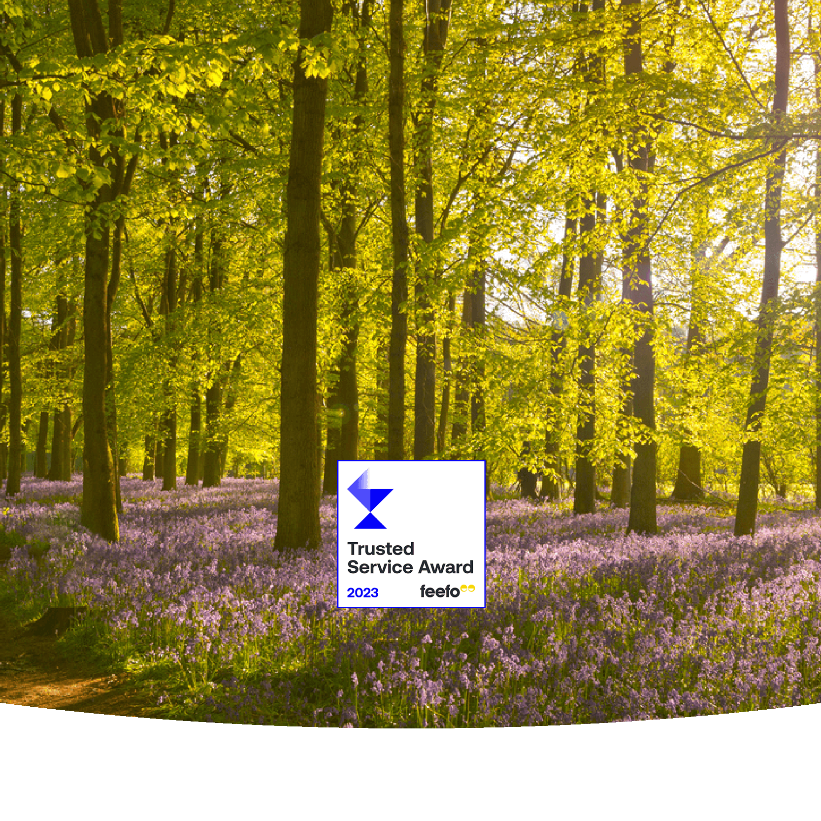 Sunshine come through woods with flowers