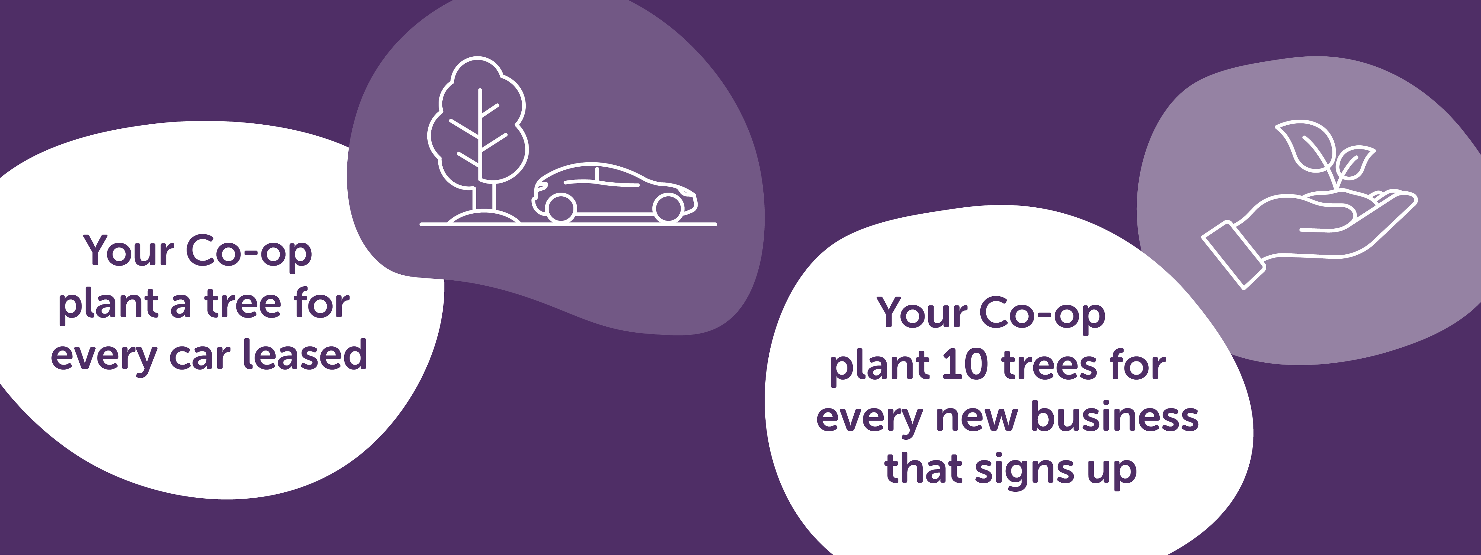 Your Co-op plant a tree for every car leased 