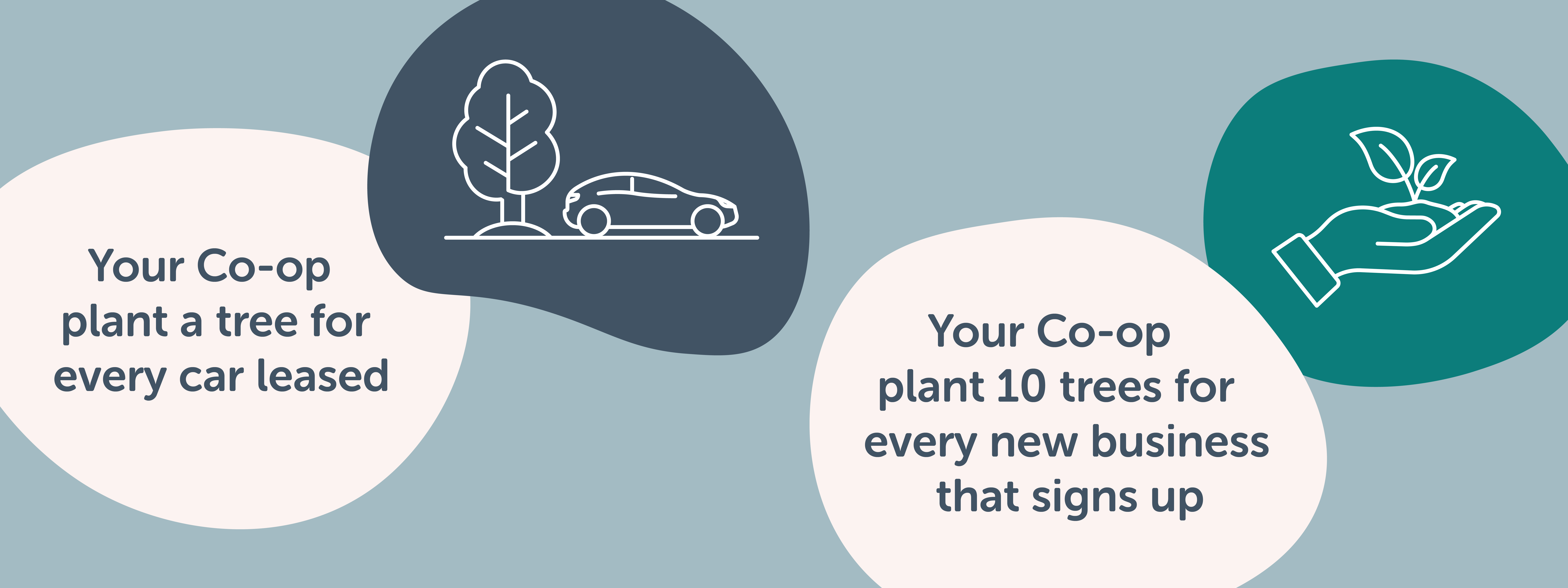 Your Co-op plant a tree for every car leased 