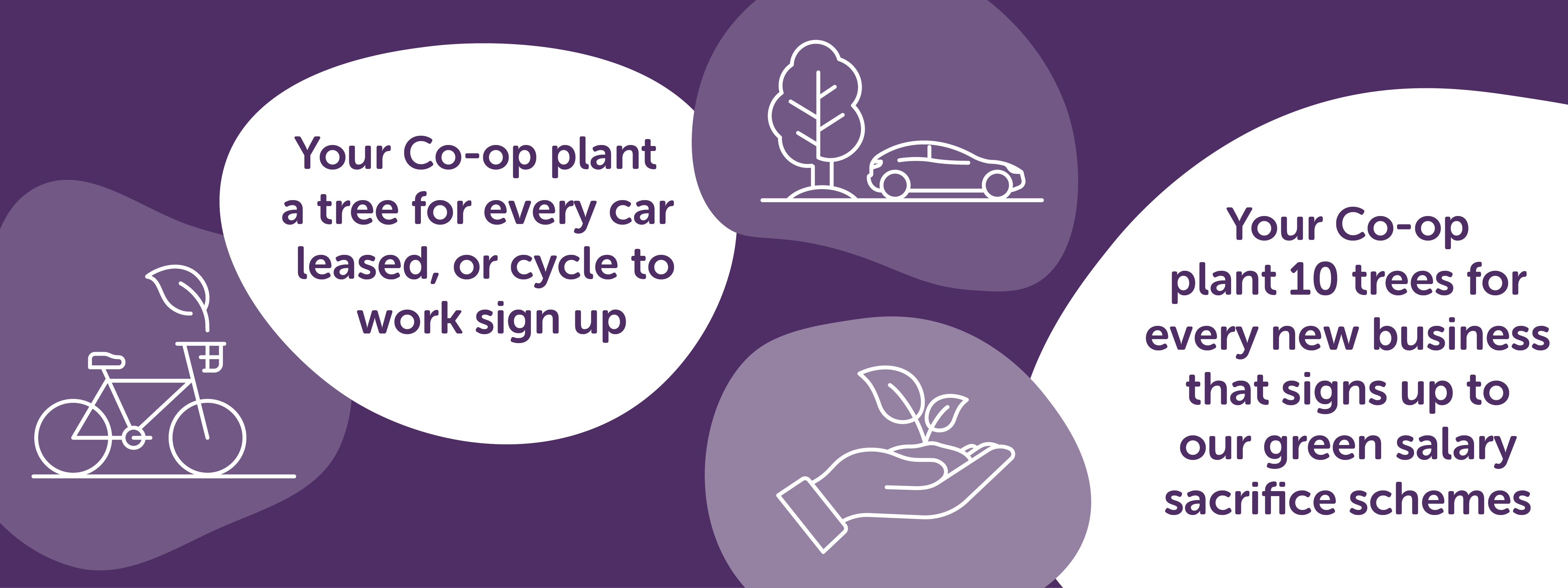 your co-op plant a tree for every sign up 