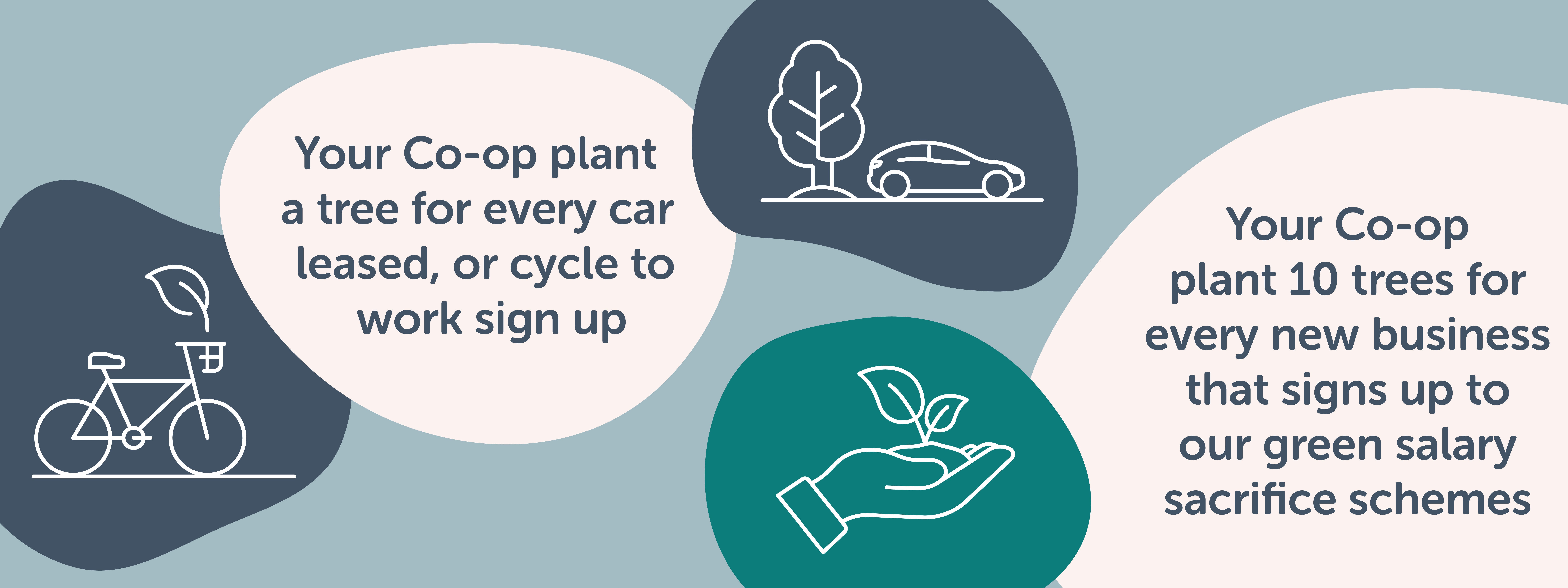 your co-op plant a tree for every sign up 