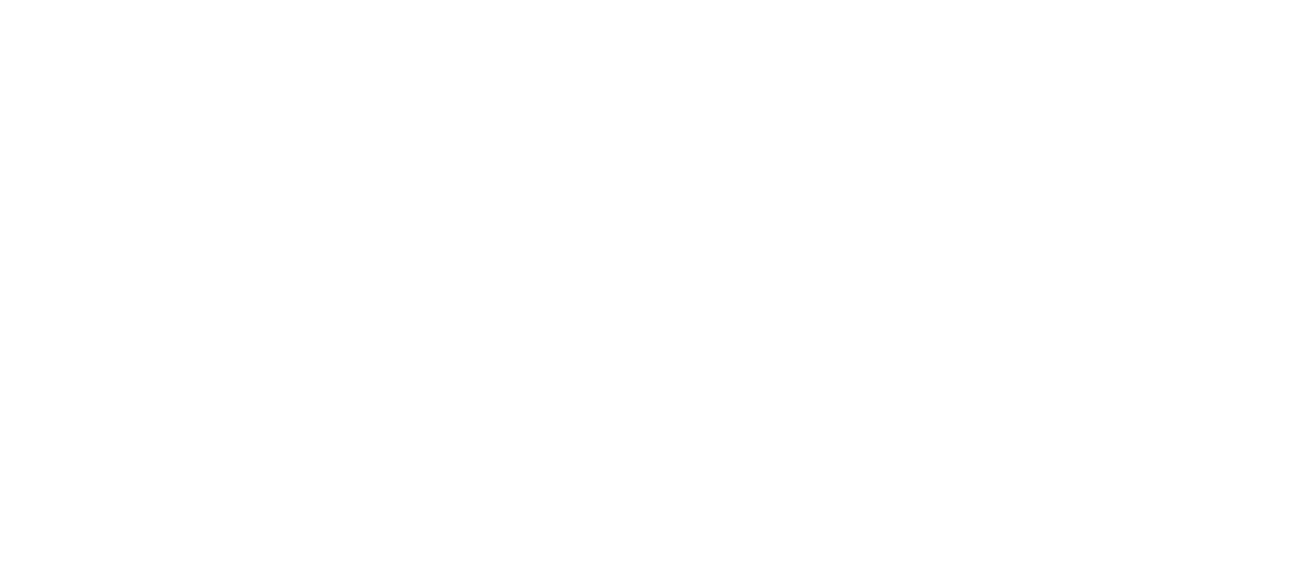 present icon