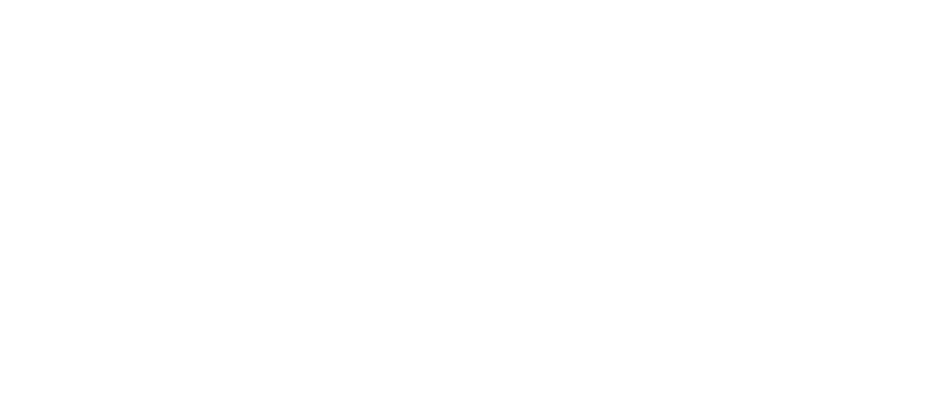SIM icon