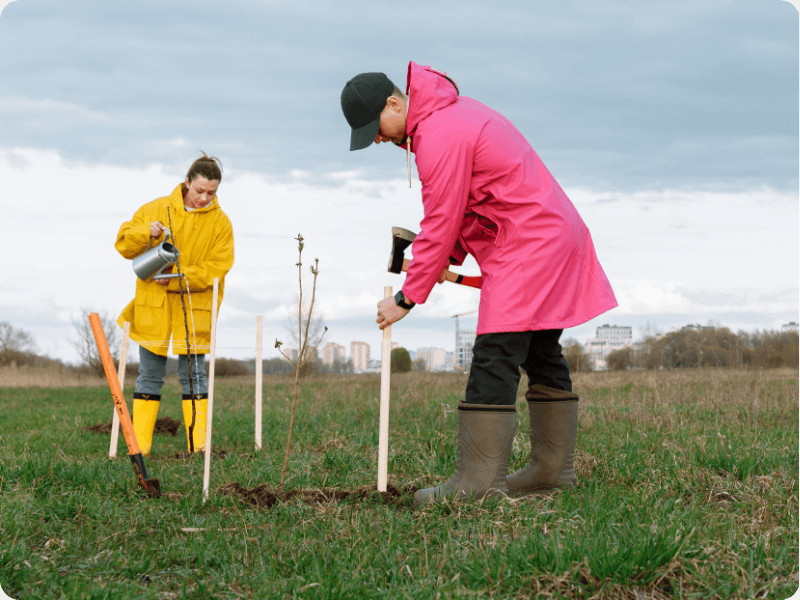 two volunteers planting trees