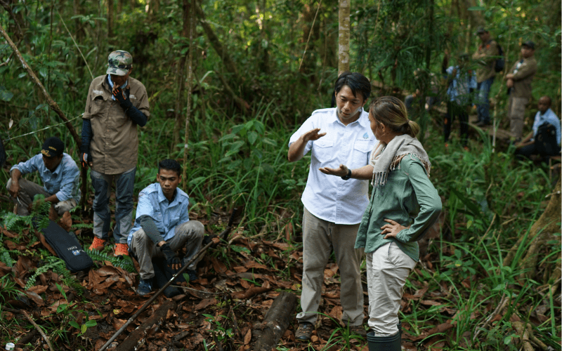 small team working together to plant trees