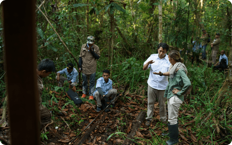 small team working together to plant trees