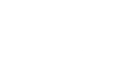 SIM icon