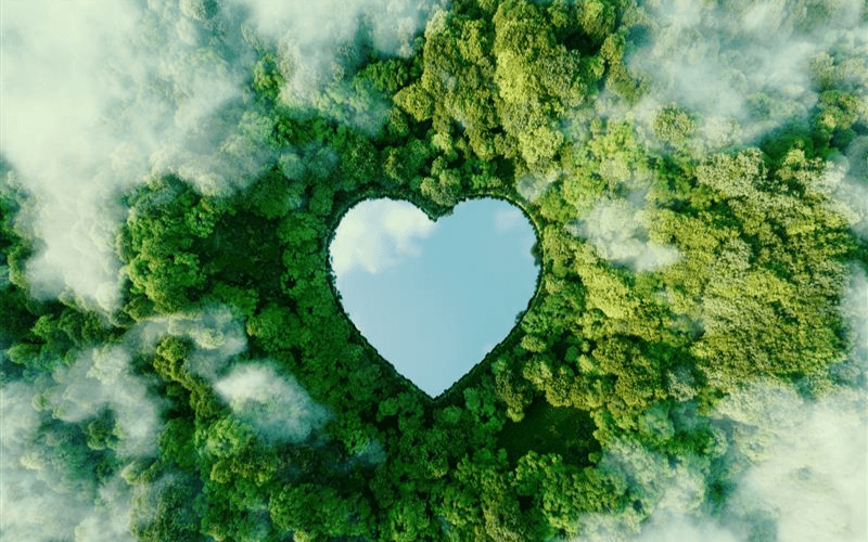 heart in trees