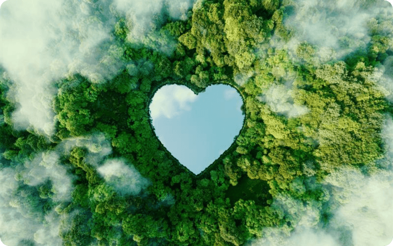 heart in trees