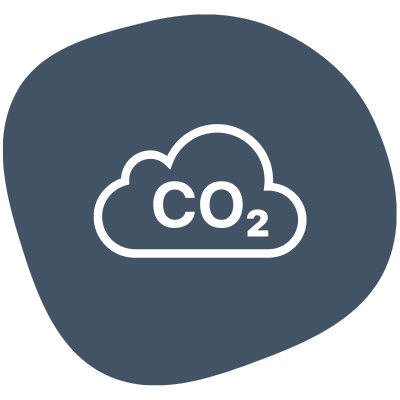 Carbon cloud icon