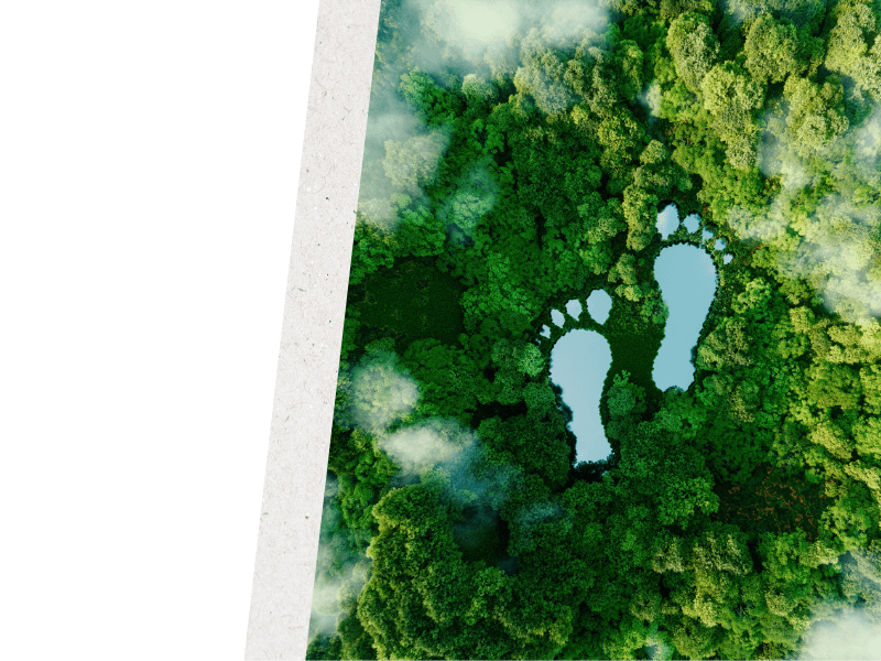 Aerial view of a forest with feet over the top to show carbon footprint