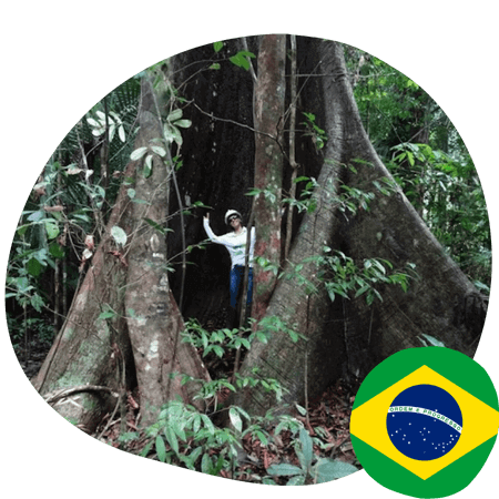 Rainforest protection in central Brazil