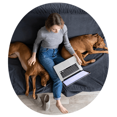 woman using her laptop sat next to her dogs