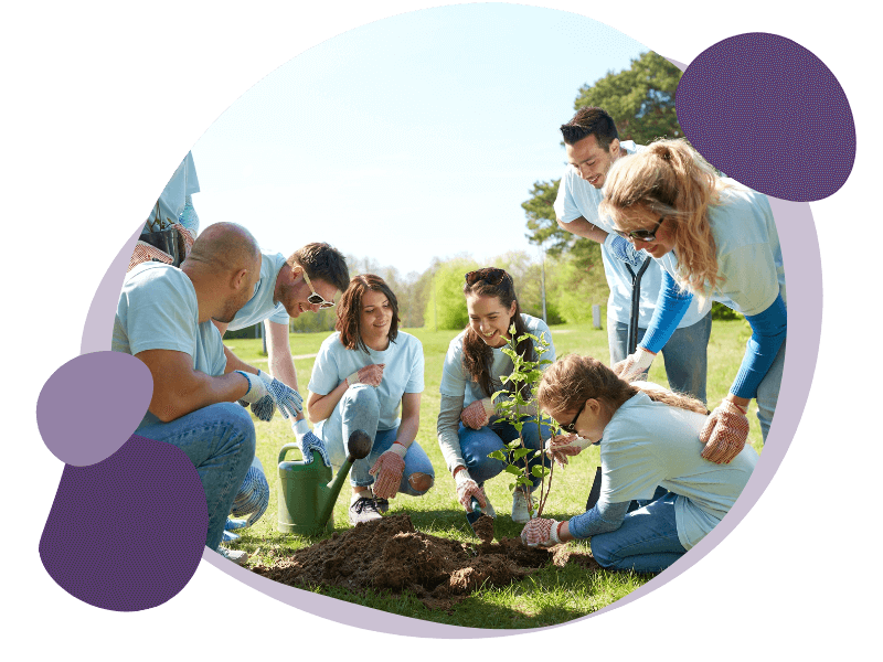 group of people planting a tree