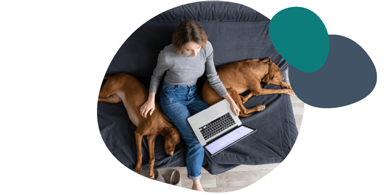 woman using her laptop with dogs lying next to her