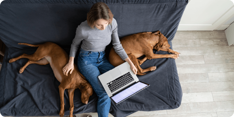 woman using her laptop with dogs lying next to her