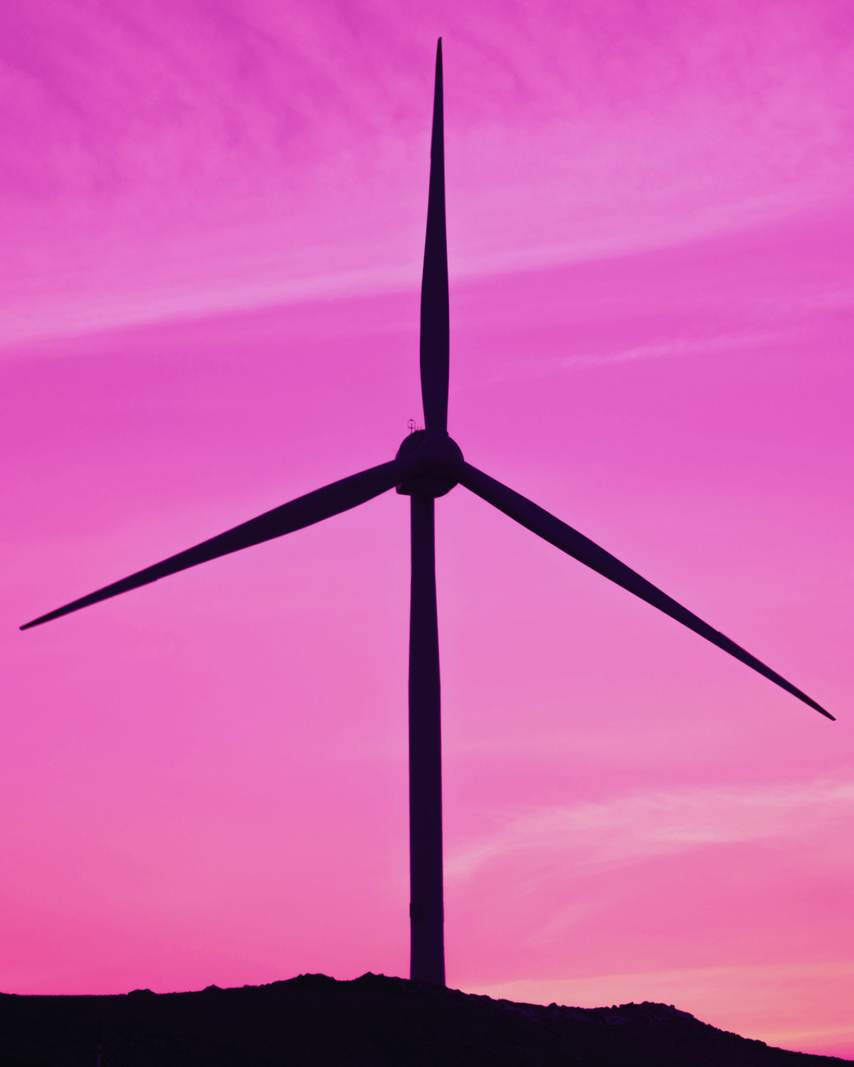 wind turbine in a field