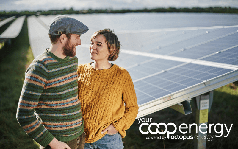 Couple stood in a solar panel field