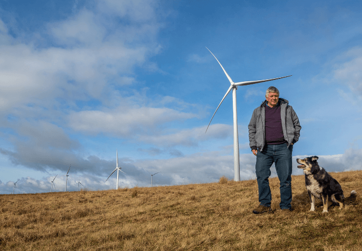 Man walking with dog in wind farm field
