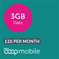 3GB with unlimited calls and texts upgrade